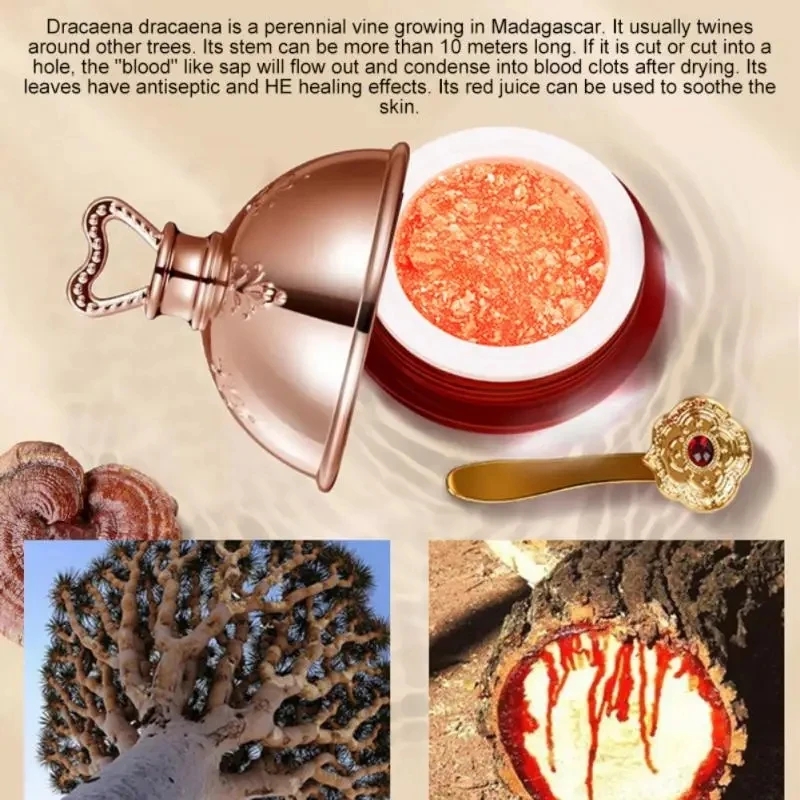 Dragon's Blood Face Cream Reti - Luxury Skincare Brands บทวิจารณ์และราคา